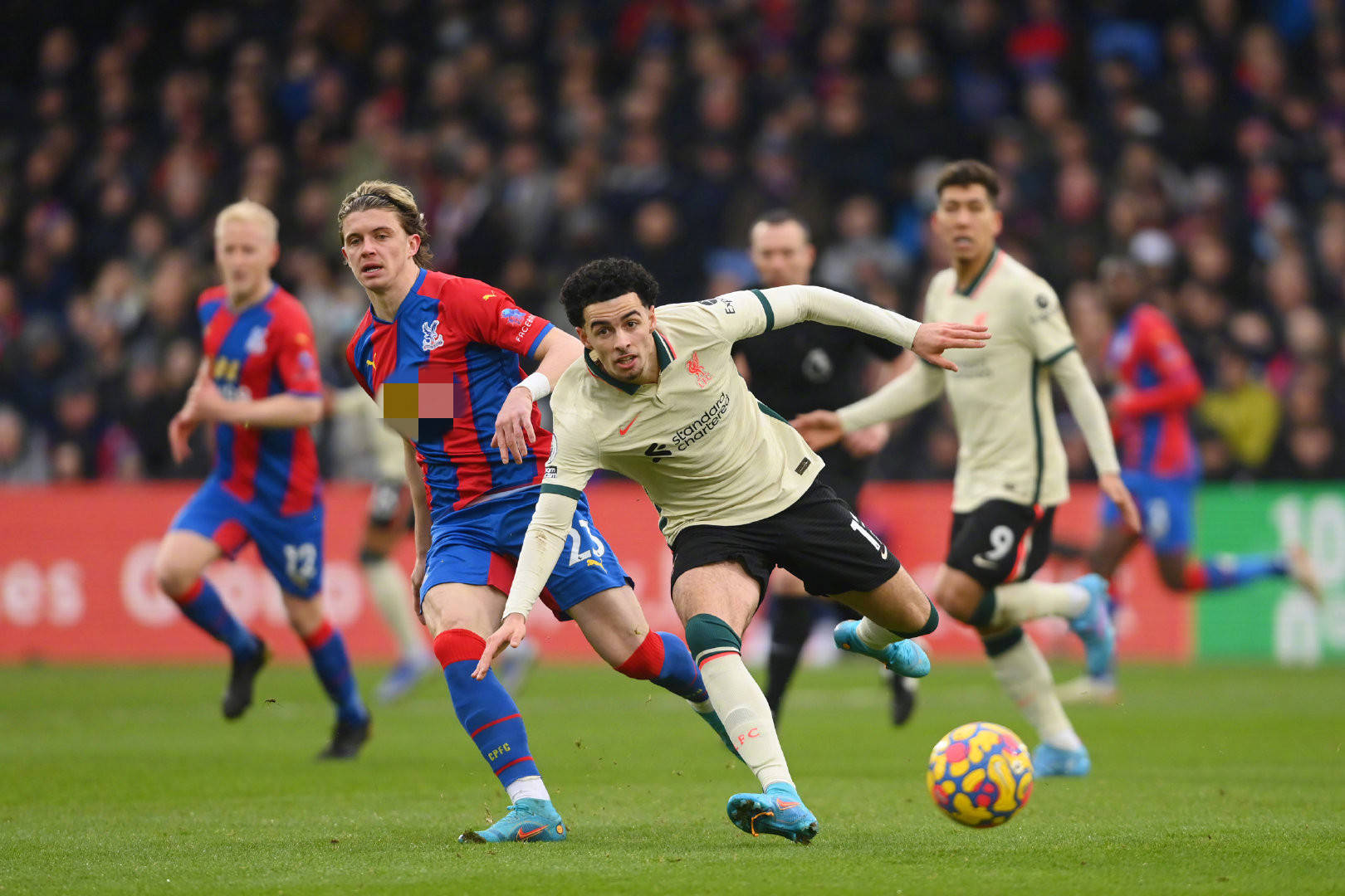 关键作用 关键作用